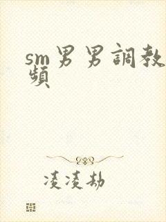 sm男男调教视频