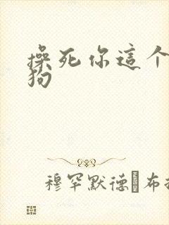 操死你这个小母狗