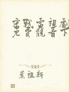 密战电视剧全集免费观看下载