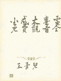 小成大事电视剧免费观看全集高清