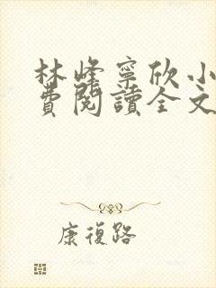 林峰宁欣小说免费阅读全文最新章节第1201封面