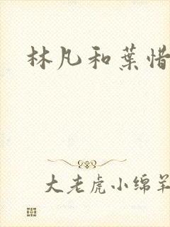 林凡和叶惜小说