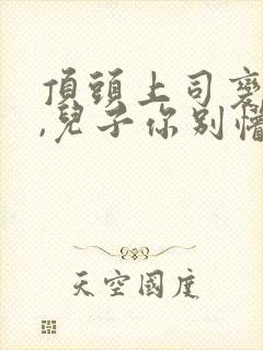 顶头上司变后妈,儿子你别懵在线