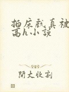 拍床戏真被肉h高h小说