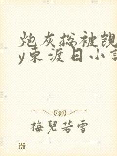 炮灰总被觊觎by东渡日小说免费阅读