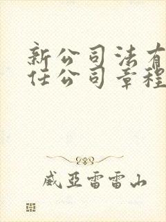 新公司法有限责任公司章程封面