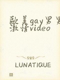 欧美gay男男激情video封面