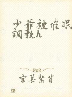 少爷被催眠玩弄调教h