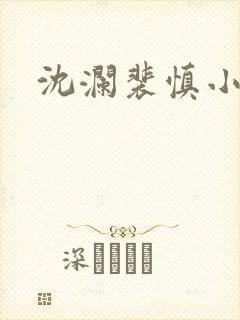 沈澜裴慎小说