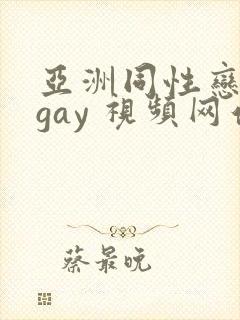 亚洲同性恋男 gay 视频网站