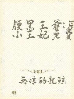 腹黑王爷:厨神小王妃免费阅读
