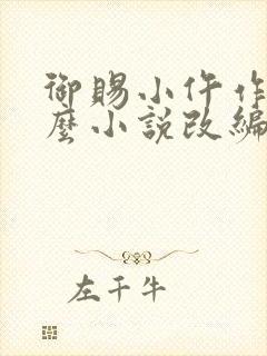 御赐小仵作是什么小说改编的