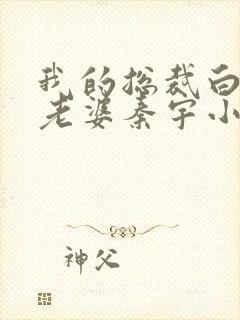我的总裁白富美老婆秦宇小说正版