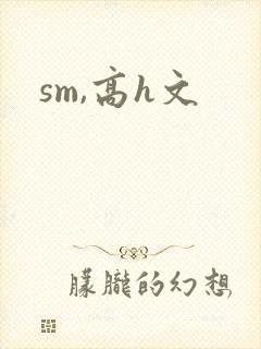 sm,高h文