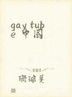 gay tube 中国