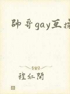帅哥gay互操