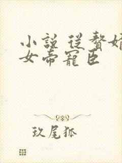 小说 从赘婿到女帝宠臣