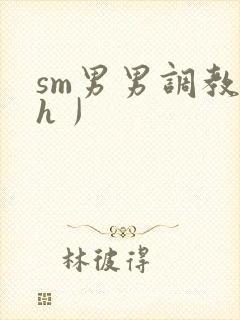 sm男男调教〈h丿