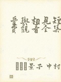 爱与相见短剧免费观看全集高清版封面