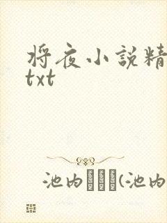 将夜小说精校版txt