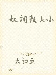 奴调教 h小说