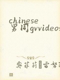 chinese男同gvvideos
