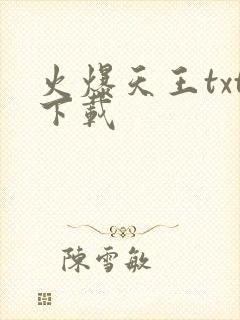 火爆天王txt下载封面