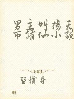 男主叫杨天的都市修仙小说