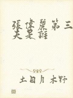 张伟丽第三任丈夫是谁