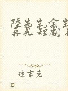 陆先生,余生不再见 短剧 在线观看