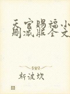 天官赐福小说未删减版全文