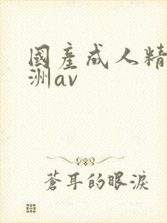 国产成人精品亚洲av