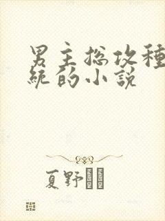 男主总攻种马系统的小说