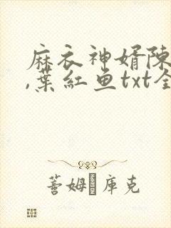 麻衣神婿陈黄皮,叶红鱼txt全文下载