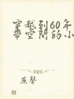 穿越到60年代带空间的小说封面