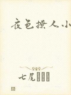 夜色撩人小说