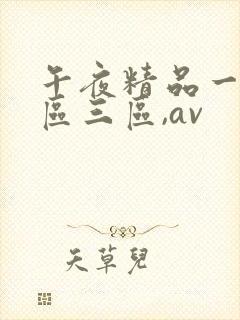 午夜精品一区二区三区,av