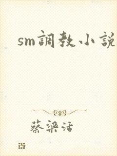 sm调教小说h