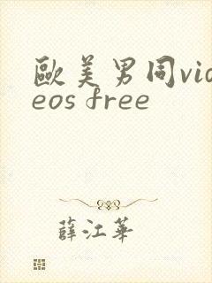 欧美男同videos free