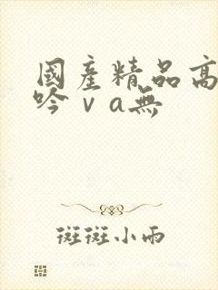 国产精品高潮呻吟ⅴa无
