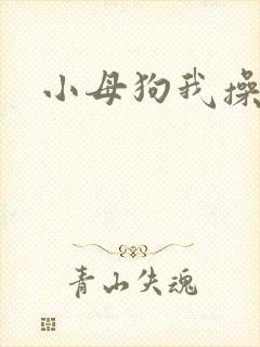 小母狗我操死你