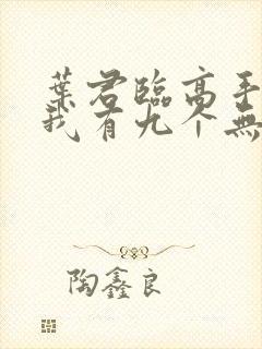 叶君临高手下山我有九个无敌师父
