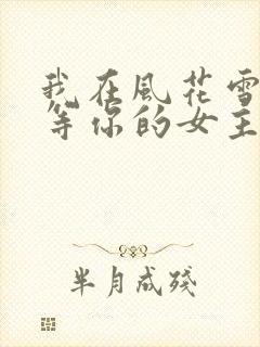 我在风花雪月里等你的女主