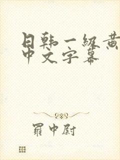 日韩一级黄色片中文字幕