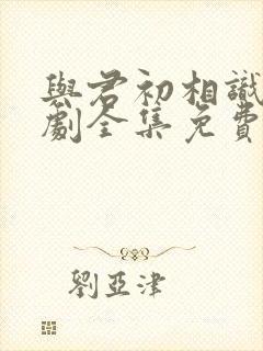 与君初相识电视剧全集免费观看封面