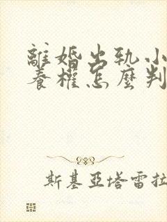 离婚出轨小孩抚养权怎么判