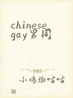 chinesegay男同