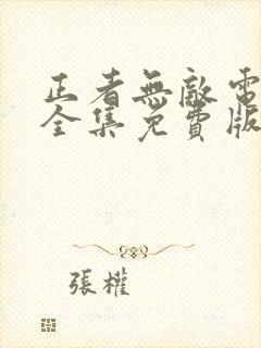 正者无敌电视剧全集免费版封面