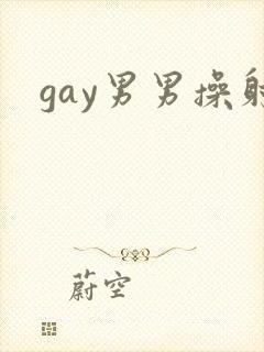 gay男男操射