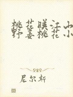 桃花映江山沈在野姜桃花小说全文免费阅读封面
